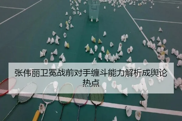 张伟丽卫冕战前对手缠斗能力解析成舆论热点 - BaJIeSPORtS
