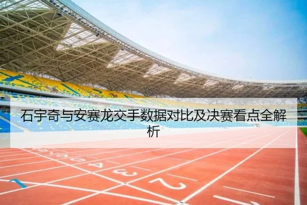 石宇奇与安赛龙交手数据对比及决赛看点全解析 - BaJIeSPORtS